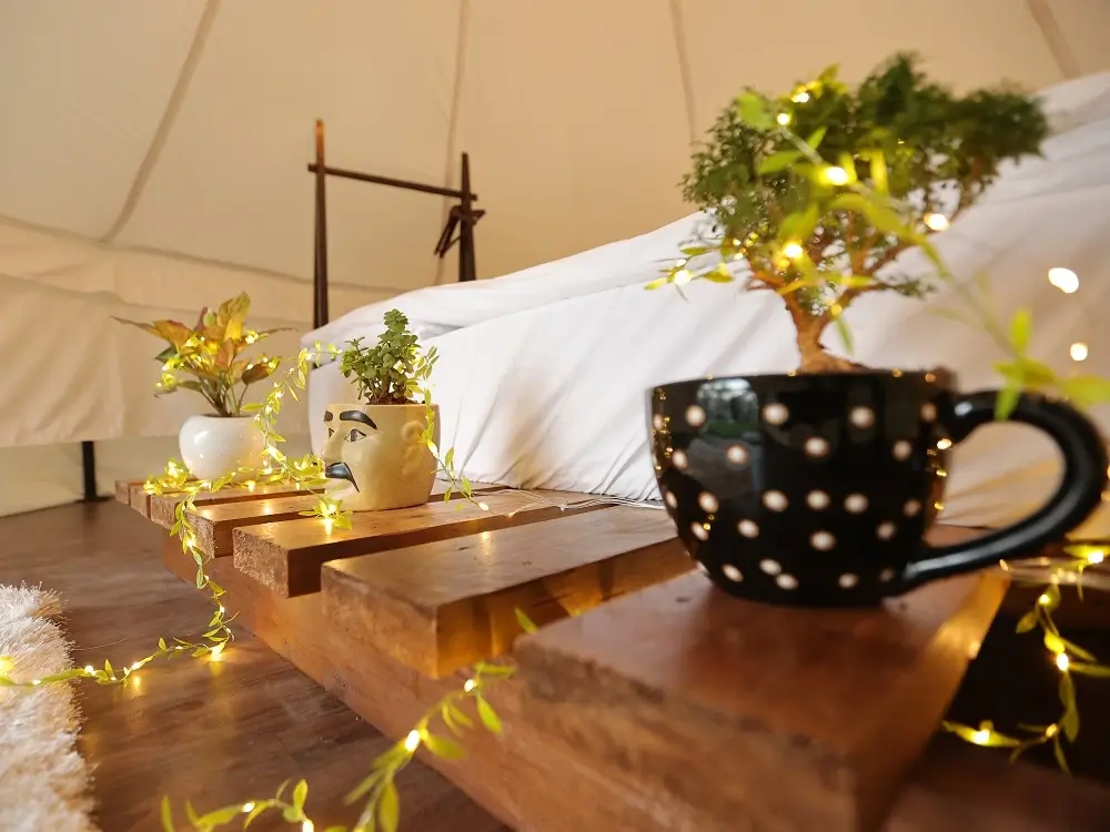 Panshet Camping Inside Tent - 1